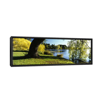 Reproduction de photo sur toile panoramique, "Willow Tree by a Lake, Green Lake, Seattle, Washington State"