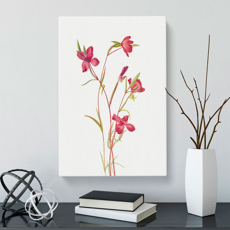 Farewell To Spring by Mary Vaux Walcott - Wrapped Canvas, 60cm H x 40cm W x 3cm D