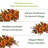 Sunflower Arrangement