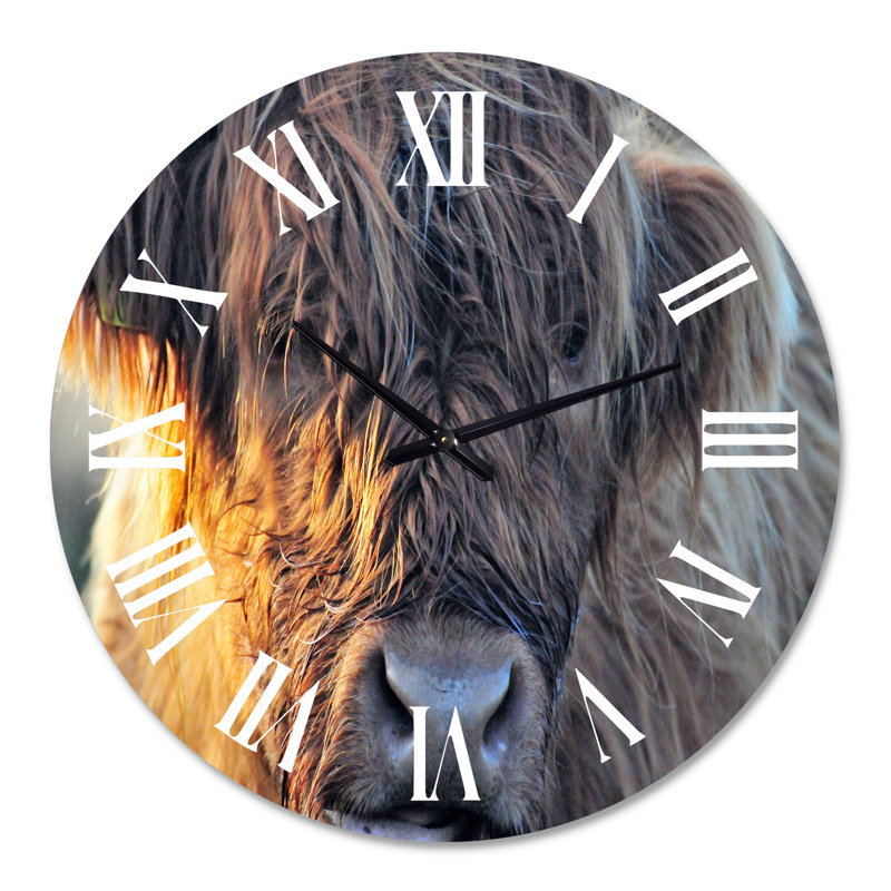 Vache écossaise sur une terre ferme - horloge murale, Surdimensionné