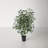 48'' Faux Ficus Tree in Pot Liner