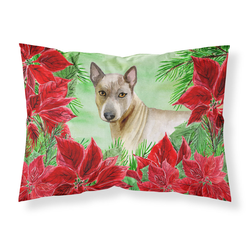 Microfiber, Thai Ridgeback