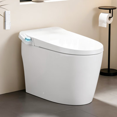 Elongated Smart Tankless Toilet with Bidet, Auto Flush, Heated Seat, Warm Wash/Dryer, Adjustable Water Temp, Foot Sensor Operation, Night Light, Remote Control