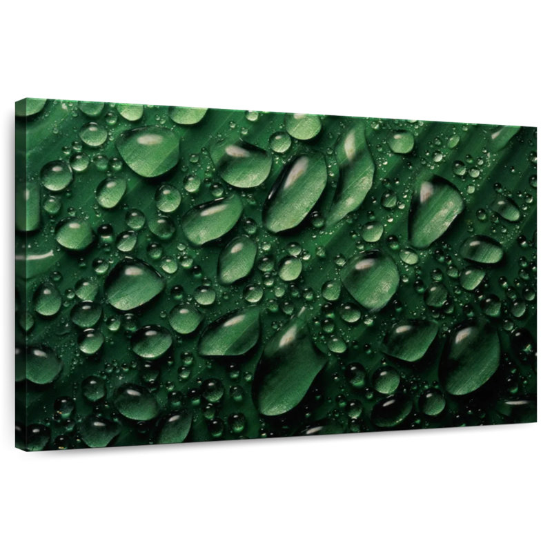Gouttelettes d'eau Harnek Leaf