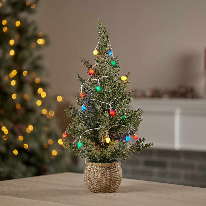 100'' LED String Lights, Red/Blue