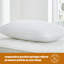 Silentnight Pocket Sprung Pillows