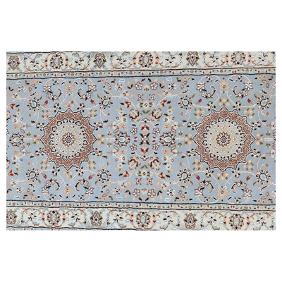 Oriental Area Rug in Ivory