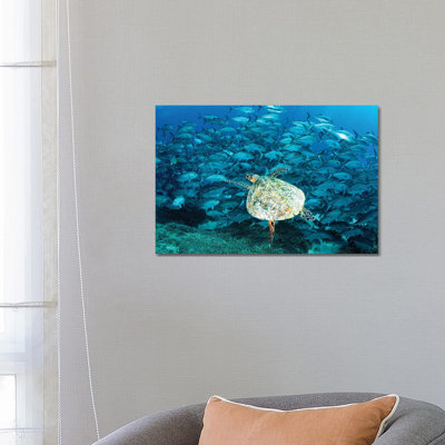 Peak Hour On The Reef by Jordan Robins - Gallery-Wrapped Canvas Giclée on Canvas