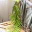 Ensemble de branches artificielles 39,7 po-468678660
