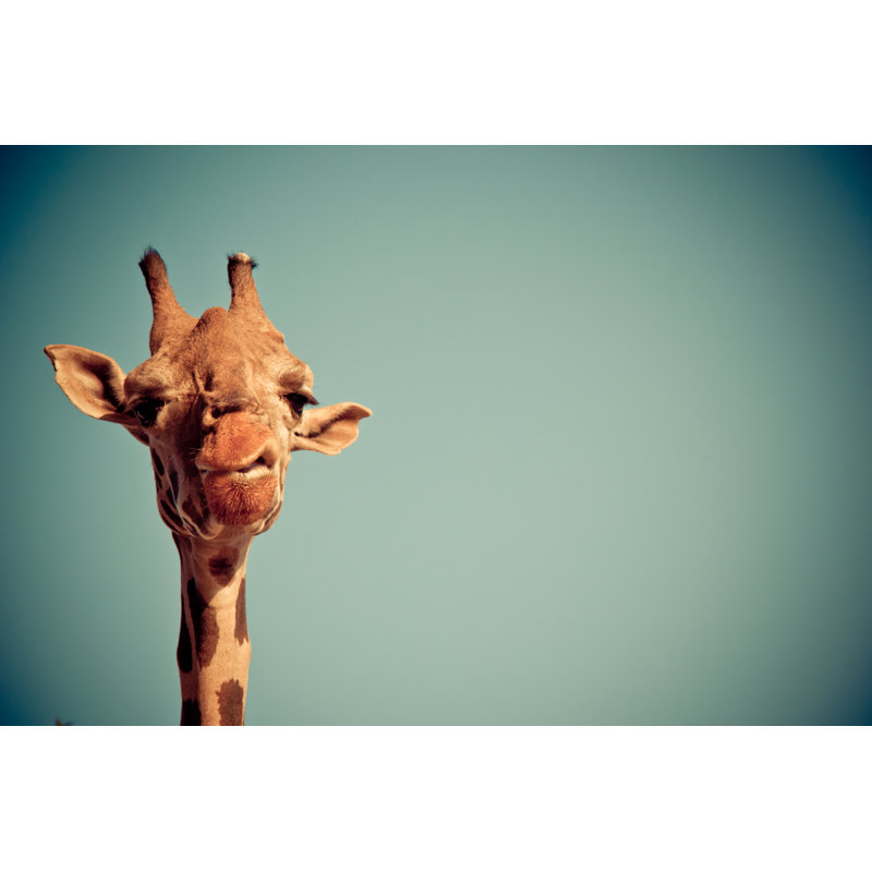 Funny Giraffe - Wrapped Canvas Print, 20cm H x 30cm W x 3.8cm D