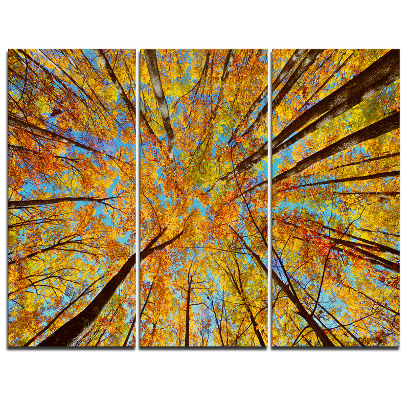 Ensemble de 3 impressions sur toile tendue, "tree tops" dans la forêt d’automne