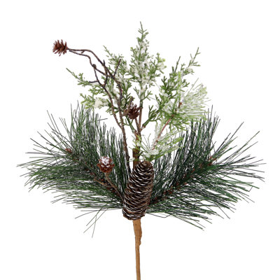 Branche de cône de pin glacé