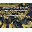 Astoria Grand Gallery Wrapped Canvas By Rachel Smythe: "I want to feel loved and safe every day. Not