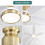 107Cm 5-Blade Modern Ceiling Fan Light With 6-Speed Adjustable Wind Speed-1366992583-1366992578