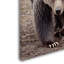 Ann "Bears", reproduction de photo sur toile tendue-24189967