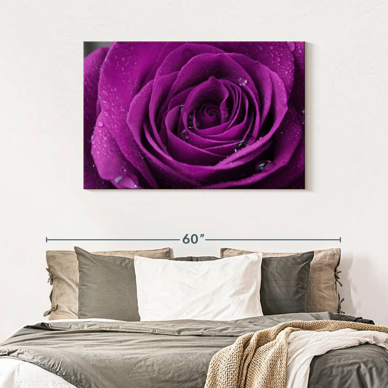Gouttelettes Harnek sur rose mauve, H 30 po x l 45 po