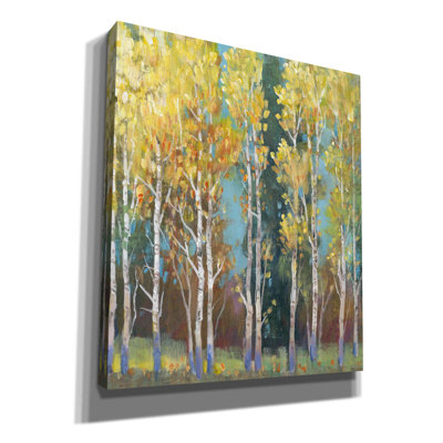 «Aspen Grove I» par Tim O'toole, art mural sur toile