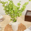 1 branche verte Audet Enkianthus Perulatus artificielle-359935824
