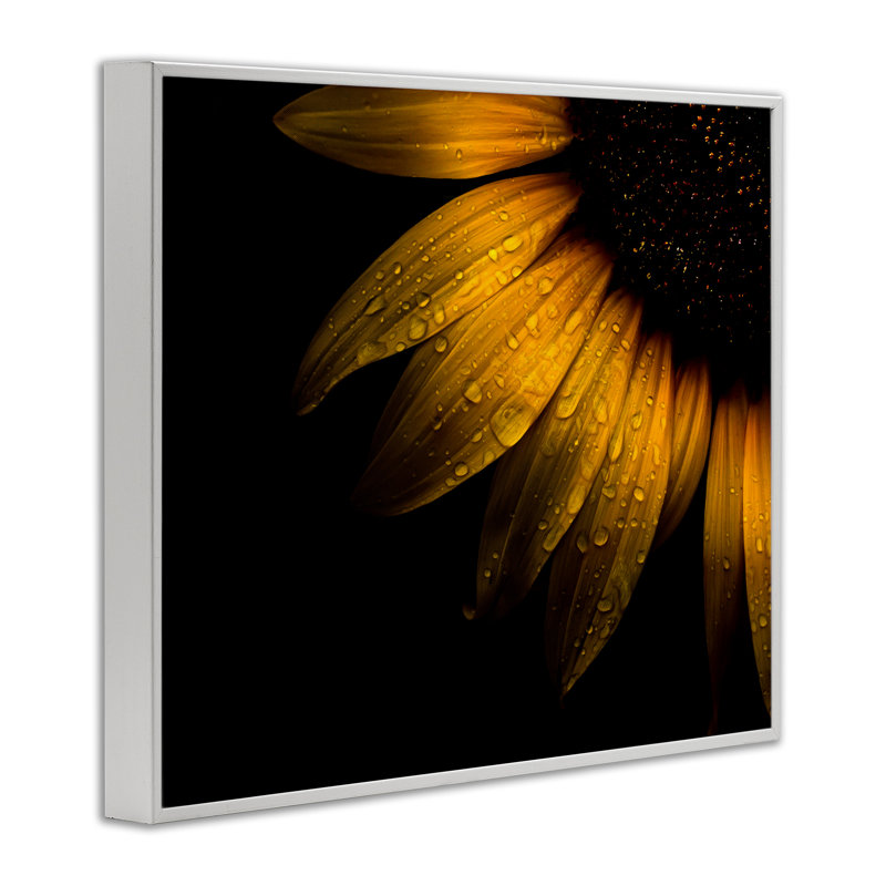 Giclée encadrée de gouttelettes d'eau sur un tournesol, design par Brian Carson, H 11 po x l 14 po