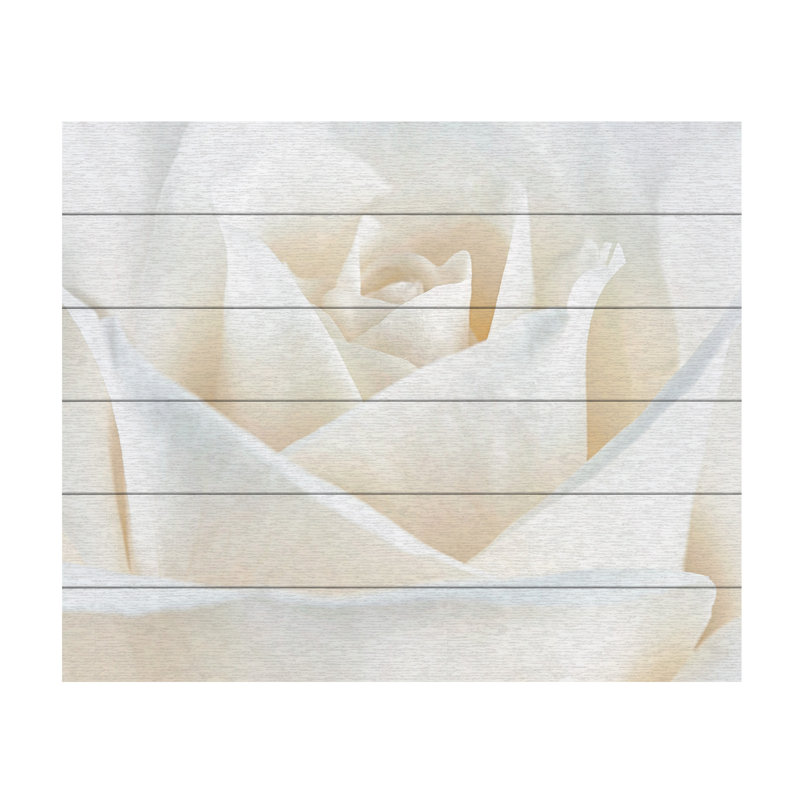 «Pure White Rose», reproduction de photo encadrée, H 18 po x l 22 po x P 0,5 po, Latte en bois, Pas de tapis