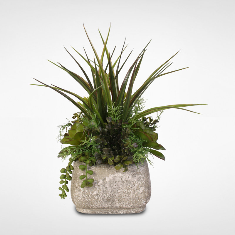 Faux Succulent Plant in Cement Planter