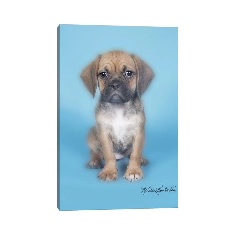 Sushi Roll by Keith Kimberlin - Wrapped Canvas Painting, 101.6 cm H x 66.04 cm W x 1.91 cm D