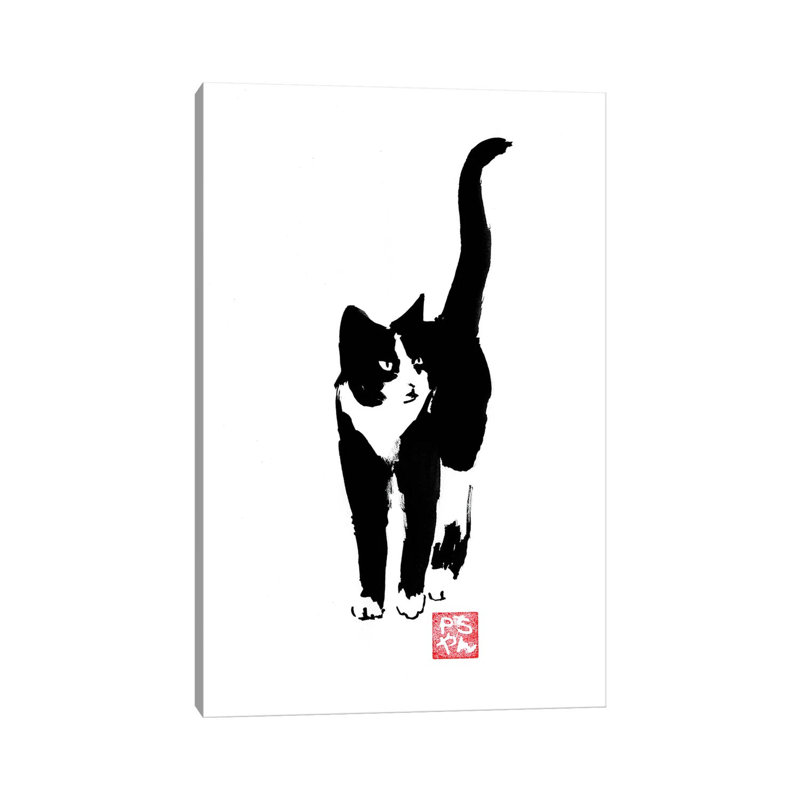 Street Cat by Péchane - Print on Canvas, Wrapped Canvas, 30.48 cm H x 45.72 cm W