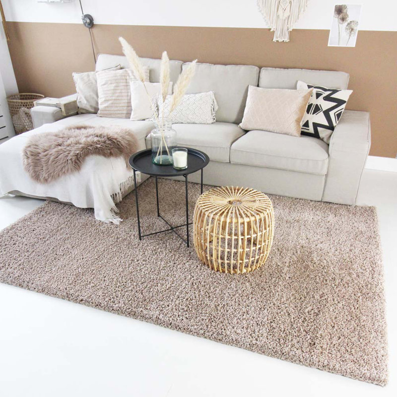 Aloysia Solid Colour Area Rug, Rectangle 300 x 400cm