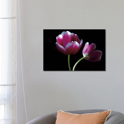 Passion 1 Piece Wrapped Canvas Wall Art