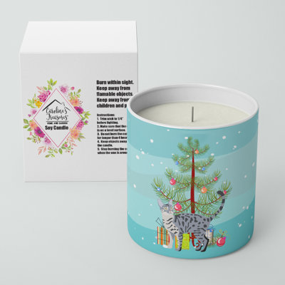 Pine / Christmas Tree Scented Jar Candle with Ceramic Holder