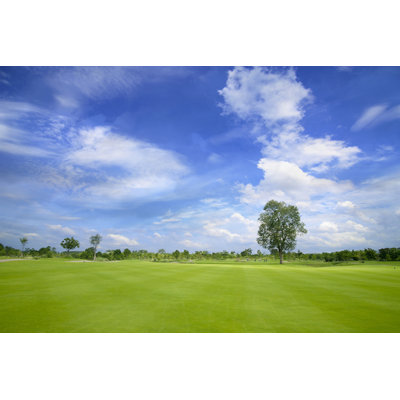 Golf Course by Antpkr - Wrapped Canvas Print