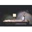 Lampe de table 14,8 po Emmuela-1011284686