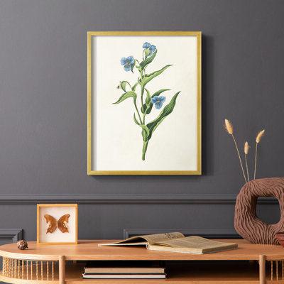 Flowers of the Seasons V Framed Print - Solid Wood