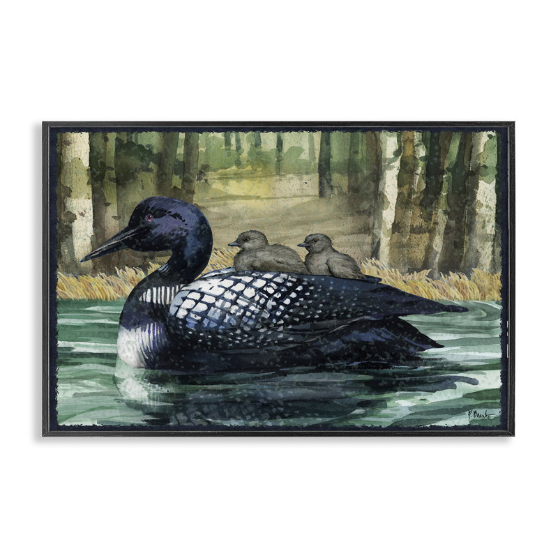 «Loon Family on Lake», estampe numérique, conception de Paul Brent, H 12 po x l 18 po, Giclée encadrée noir minuit