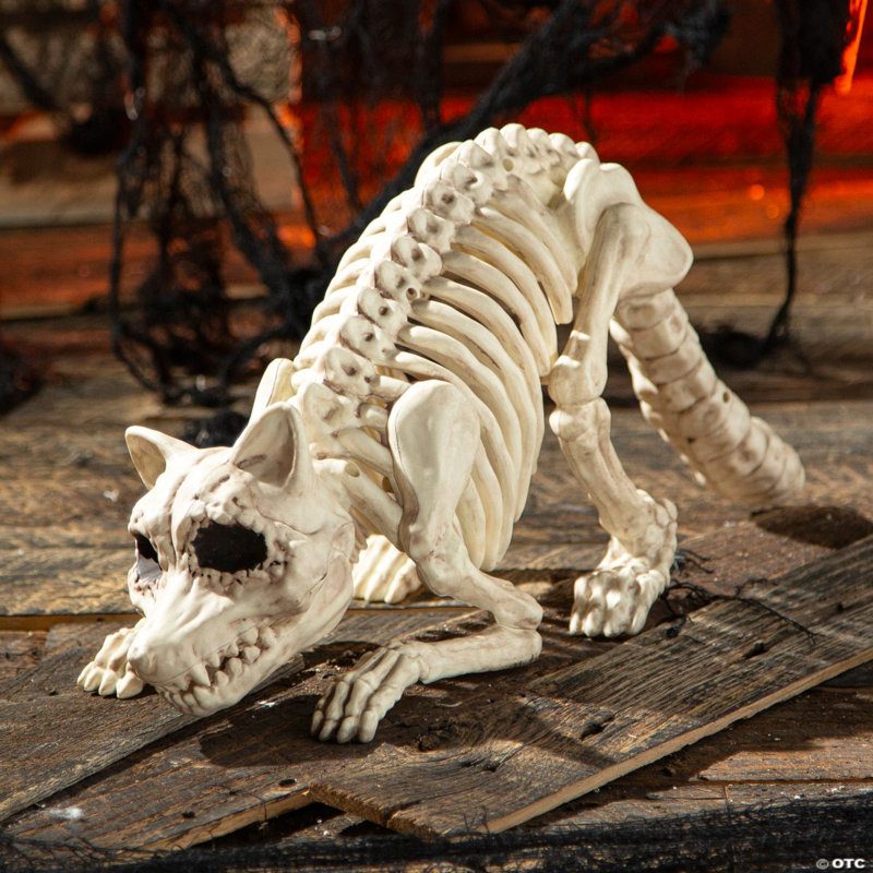 Décoration d'Halloween d'extérieur en plastique 7 7 pouces