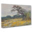 Coreopsis by Julian Onderdonk - Wrapped Canvas-61850760