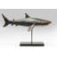 Deco Figurine Shark Base 59cm