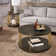 Sula Gold Finish Dark Brown Faux Shagreen Round Table - Coffee Table And End Table Set