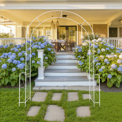 Arch Metal Trellises for Outdoor, Freestanding Tall Trellis for Climbing Plants, Garden Trellis for Tomato, Rose and Vine, Set of 2 or 4 - Dragonfly