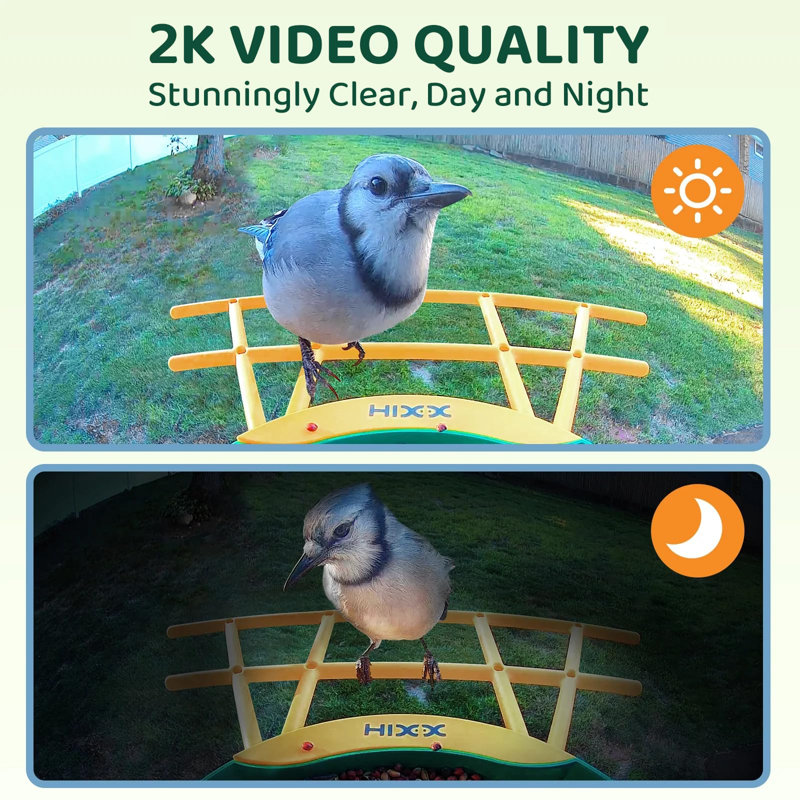 Mangeoire à oiseaux intelligente avec caméra 2K HD Live, Vert