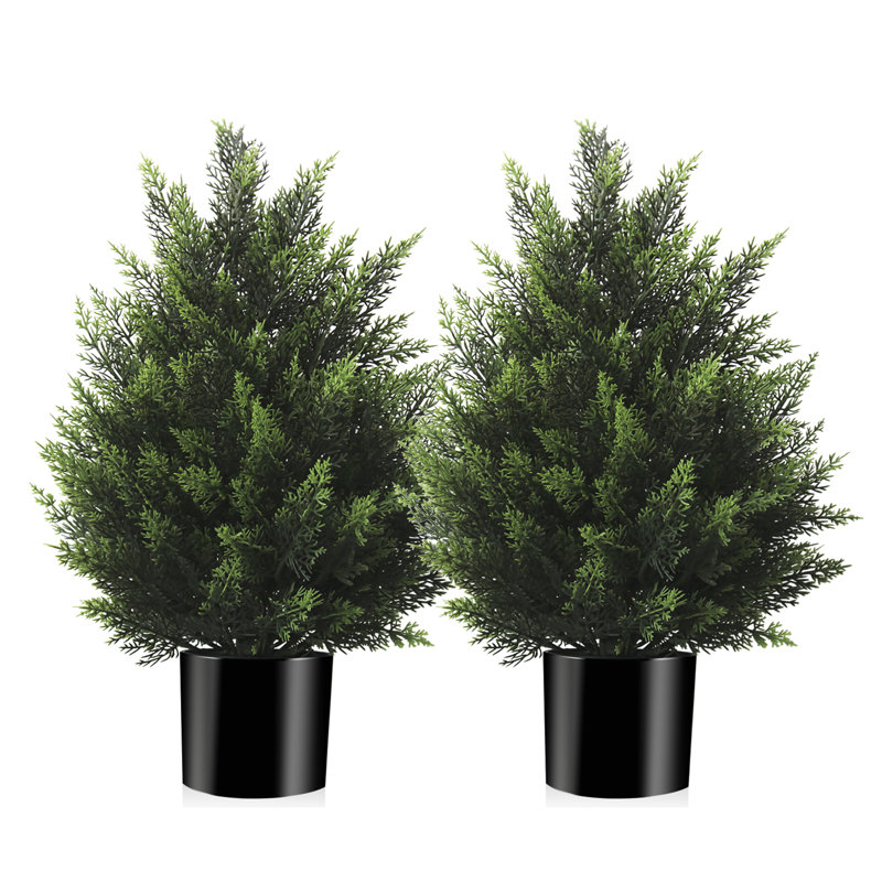 Cèdres artificiels