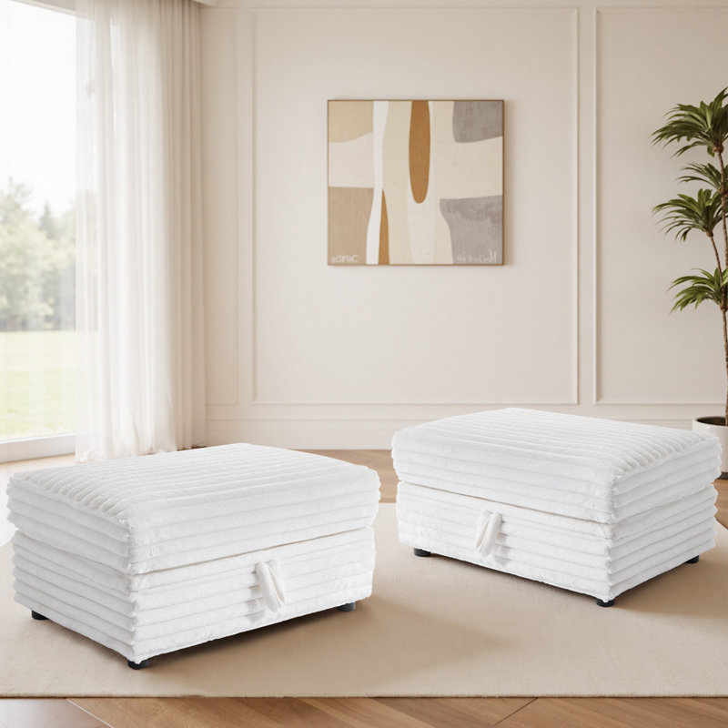 Modern Upholstered Faux Fur Square Storage Ottoman(Set Of 2), Beige