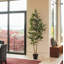 TREE LEMON GROWER 7FT