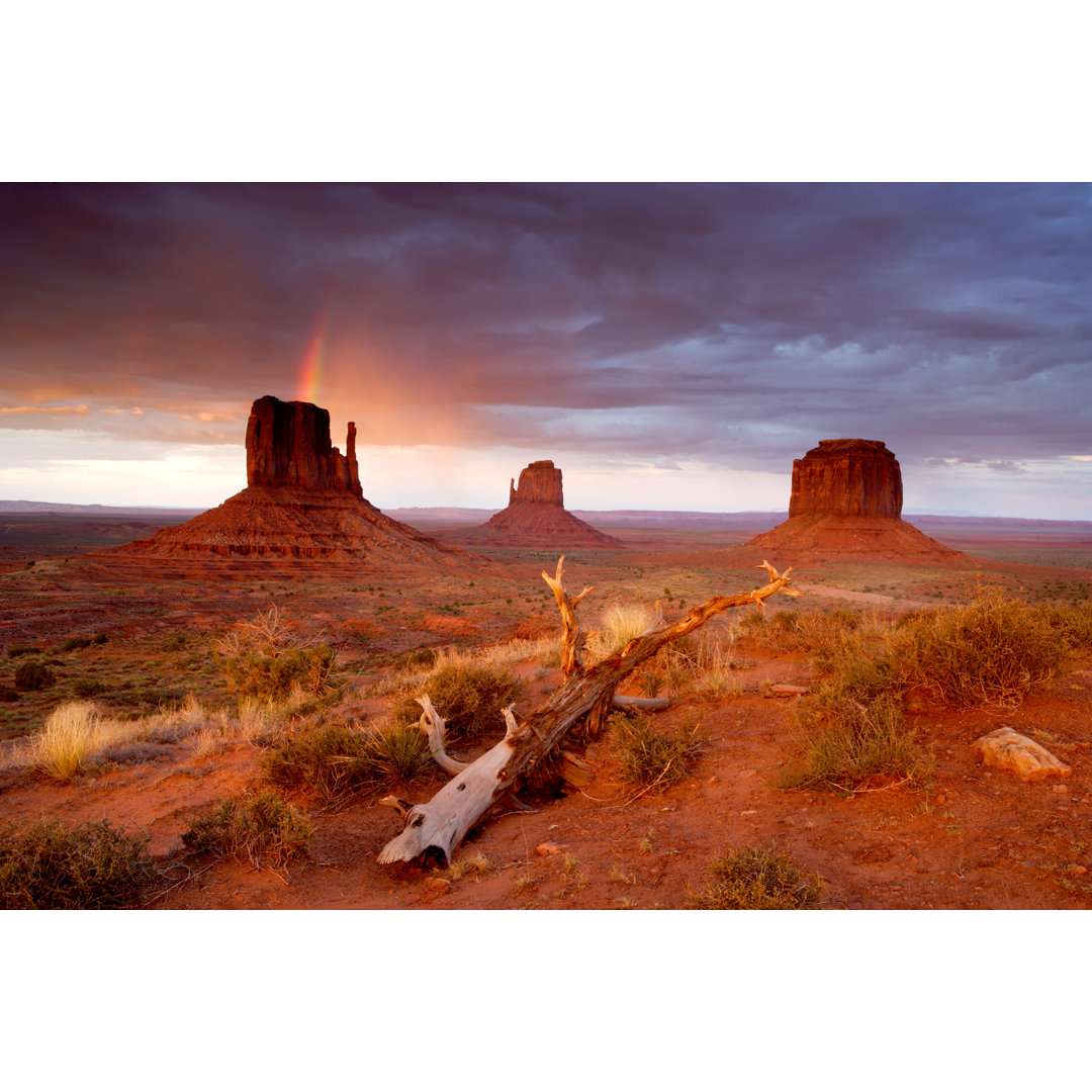 Monument Valley Vavajo Tribal Park by Ericfoltz - Druck