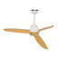 Ventilateur de plafond chaud d'intérieur de 52 pouces avec lumières DEL à intensité variable et moteur à courant continu réversible-124372505-124372511