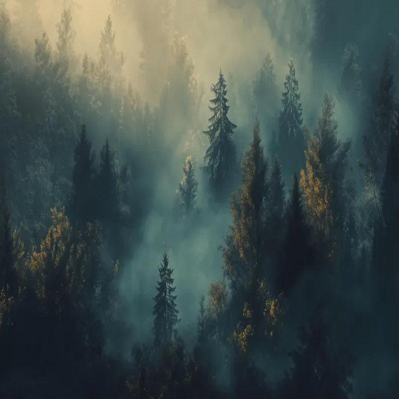 Mystic Golden Forest Mist, 105.96" L x 138" W