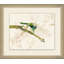 Perched Dragonfly 4 Framed Painting