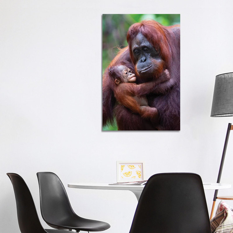 Orangutan Mother And Baby Borneo - Wrapped Canvas Print, 101.6 cm H x 66.04 cm W x 1.91 cm D