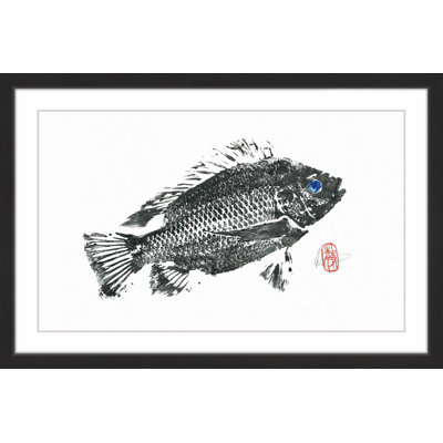 " Medium Tilapia " by Andrew Clay