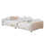 Blanc est en rupture de stock
